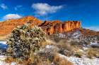 Fresh snowfall on cholla cactus and reefs in Red Cliffs National Conservation Area, St George, Utah Art Print